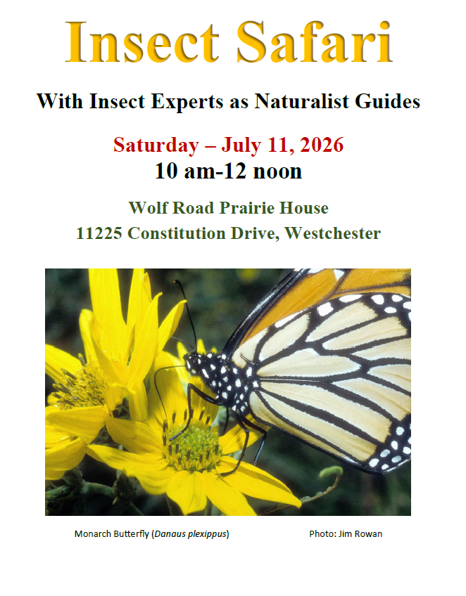 Join Us for the Insect Safari on July 11, 2026!