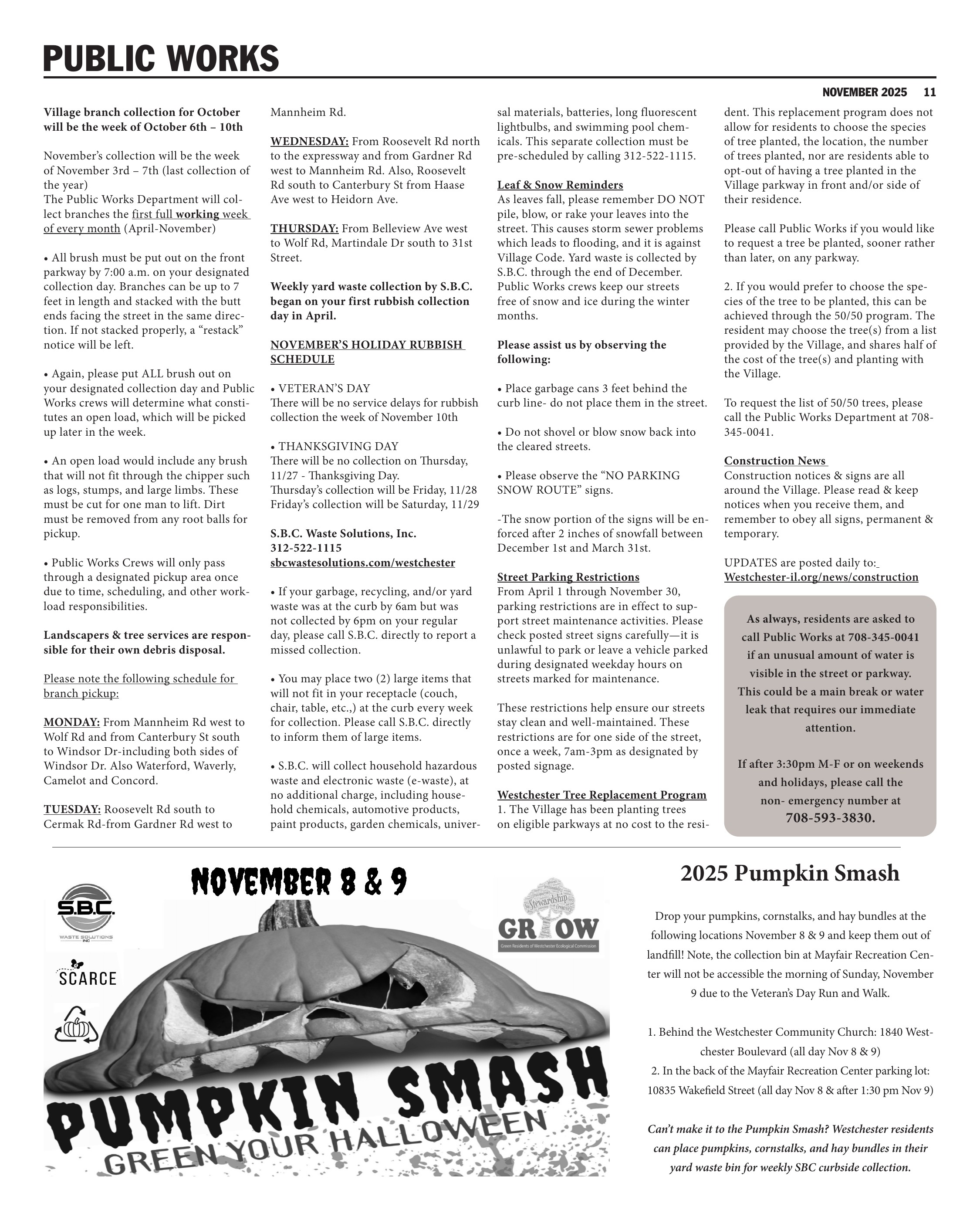 Page 11